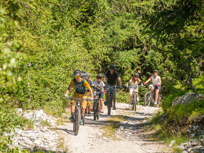 Deportes y Aire Libre